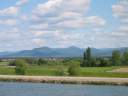 Rhine