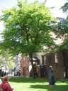 English Reformed Church