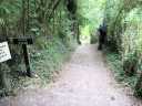 Steps Ahead
