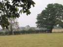 Dorchester Abbey